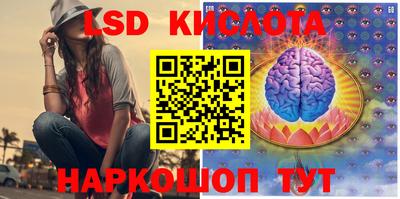 прущие грибы Апшеронск