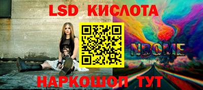 прущие грибы Апшеронск