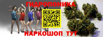 прущие грибы Апшеронск