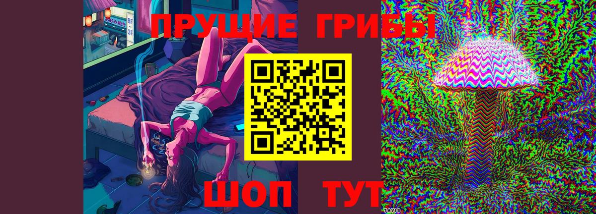 Верхняя Салда  Псилоцибиновые грибы мухоморы  Вход с VPN  Галлюциногенные грибы мицелий 