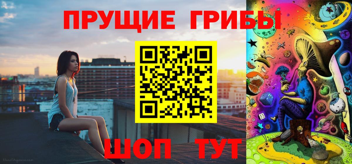 Псилоцибиновые грибы Psilocybine cubensis Верхняя Салда